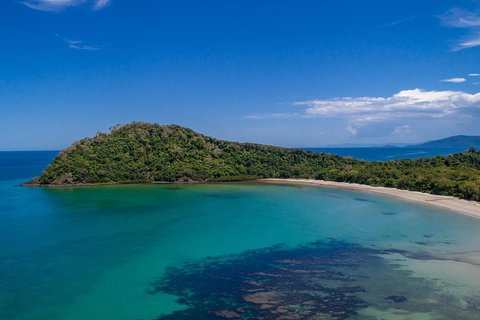 Daintree And Cape Tribulation Tour From Cairns - Accommodation Mermaid Beach 7