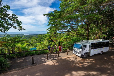 Daintree And Cape Tribulation Tour From Cairns - Accommodation Mermaid Beach 5