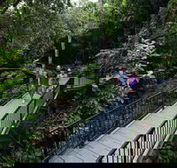 4-Day Cairns with Great Barrier Reef and Daintree Rainforest - Accommodation Mermaid Beach