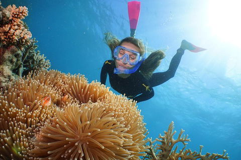 Port Douglas - Cruise And 10 Minute Scenic Flight - Accommodation Mermaid Beach 1