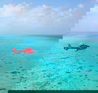 Port Douglas - Cruise and 10 Minute Scenic Flight - Accommodation Mermaid Beach