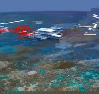 Helicopter and Cruise Packages From Port Douglas - Accommodation Mermaid Beach