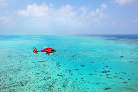 Helicopter And Cruise Packages From Port Douglas - Accommodation Mermaid Beach 6
