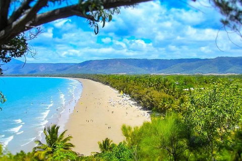 Airport Transfer - Port Douglas To Cairns Airport - Accommodation Mermaid Beach 3