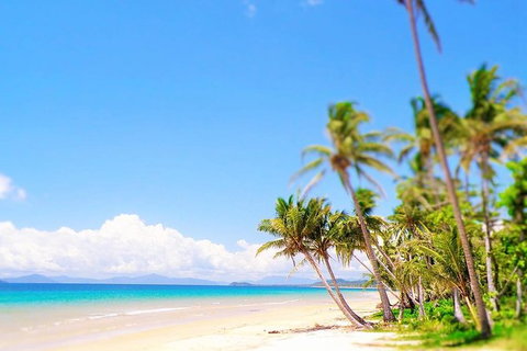 Airport Transfer - Mission Beach To Cairns Airport - Accommodation Mermaid Beach 3