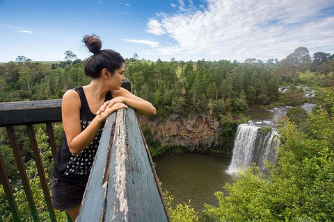 Boutique Brisbane To Cairns Australian East Coast Tour - 8 Day Small Group - Accommodation Mermaid Beach 0