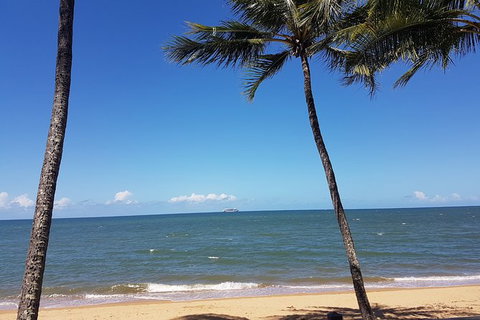 Airport Transfers Between Cairns Airport And Palm Cove - Accommodation Mermaid Beach 8