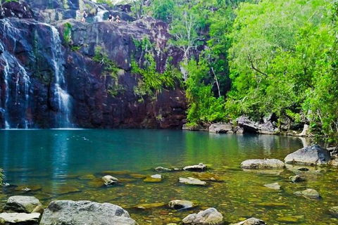 Reef, Wildlife & Rainforest - Reef & Beyond Guided Holidays - Accommodation Mermaid Beach 0