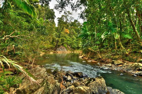 Reef, Wildlife & Rainforest - Reef & Beyond Guided Holidays - Accommodation Mermaid Beach 3