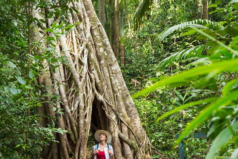 Reef, Wildlife & Rainforest - Reef & Beyond Guided Holidays - Accommodation Mermaid Beach 2