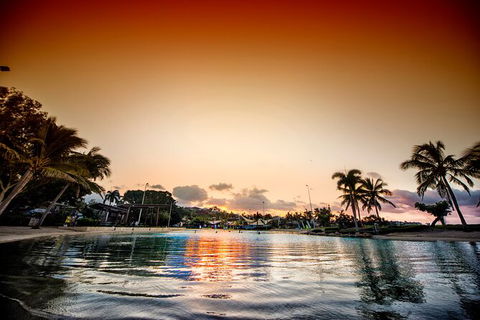 Reef, Wildlife & Rainforest - Reef & Beyond Guided Holidays - Accommodation Mermaid Beach 6