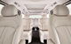 Luxury Van, Private Transfer, Trinity Beach - Cairns - thumb 2