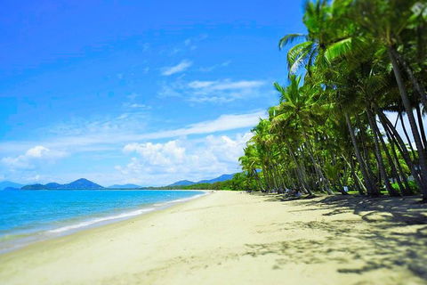 Airport Transfer - Palm Cove, Kewarra Beach & Trinity Beach To Cairns Airport - Accommodation Mermaid Beach 2