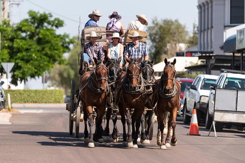 Cobb And Co Stagecoach Experience - Accommodation Mermaid Beach 6