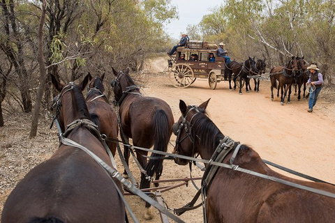 Cobb And Co Stagecoach Experience - Accommodation Mermaid Beach 1