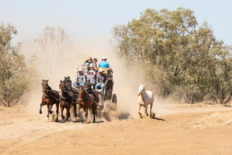 Cobb And Co Stagecoach Experience - Accommodation Mermaid Beach 0