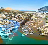 Explore Townsville 7 Hour Guided River Mountain and City Tour - Accommodation Mermaid Beach
