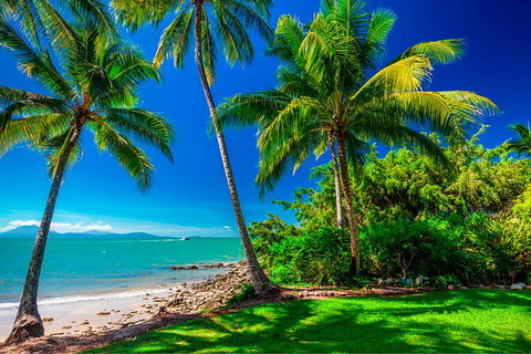 SHUTTLE - Port Douglas And Craiglie Return Transfer - Accommodation Mermaid Beach 2