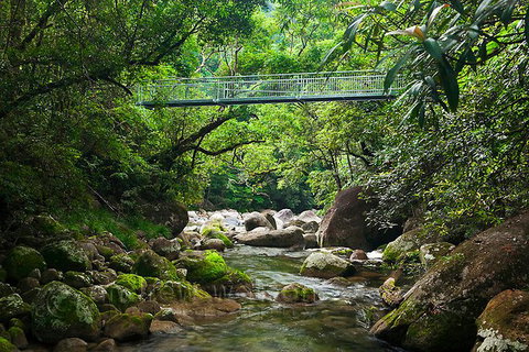 SHUTTLE - Mossman Gorge & Cooya Beach From Port Douglas (Return Transfer) - Accommodation Mermaid Beach 4