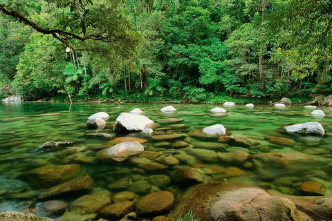 SHUTTLE - Mossman Gorge & Cooya Beach From Port Douglas (Return Transfer) - Accommodation Mermaid Beach 3