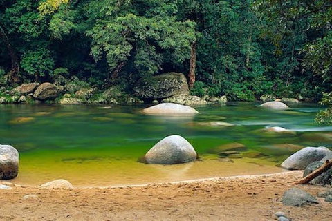 SHUTTLE - Mossman Gorge & Cooya Beach From Port Douglas (Return Transfer) - Accommodation Mermaid Beach 1