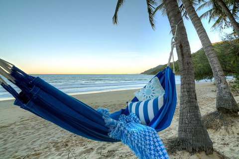 SHUTTLE - Thala Beach And Turtle Cove From Port Douglas (Return Transfer) - Accommodation Mermaid Beach 3