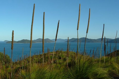7-Day Private Sea Kayaking In Whitsundays - Accommodation Mermaid Beach 8