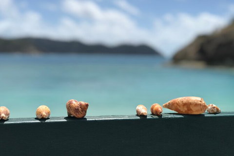 7-Day Private Sea Kayaking In Whitsundays - Accommodation Mermaid Beach 1
