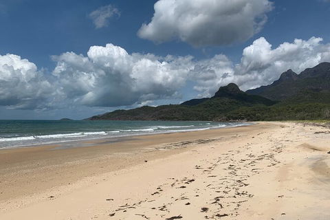 Hinchinbrook Island Tour - Accommodation Mermaid Beach 3