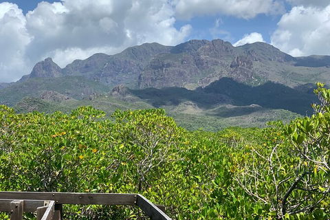 Hinchinbrook Island Tour - Accommodation Mermaid Beach 0
