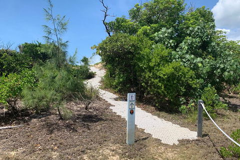 Hinchinbrook Island Tour - Accommodation Mermaid Beach 1