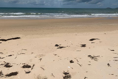 Hinchinbrook Island Tour - Accommodation Mermaid Beach 6