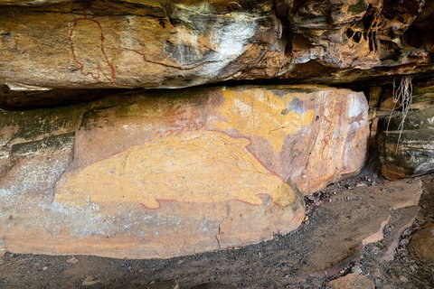 Half Day Aboriginal Rock Art Experience In Queensland - Accommodation Mermaid Beach 3