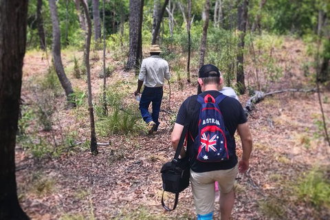 Half Day Aboriginal Rock Art Experience In Queensland - Accommodation Mermaid Beach 5