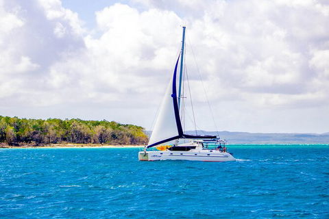 5 Night Bareboat Onboard Cattitude - Accommodation Mermaid Beach 0