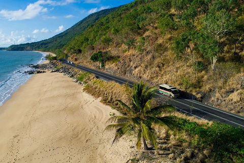 World Heritage Highlights: Reef/Daintree/Cape Tribulation - Accommodation Mermaid Beach 5
