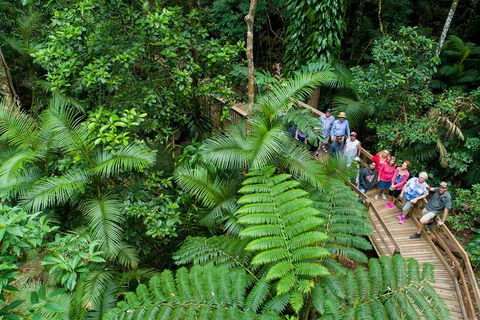 World Heritage Highlights: Reef/Daintree/Cape Tribulation - Accommodation Mermaid Beach 3