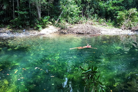 World Heritage Highlights: Reef/Daintree/Cape Tribulation - Accommodation Mermaid Beach 4