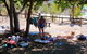 Small-Group Queensland Full-Day Sail Retreat Experience - thumb 1