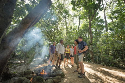 Mossman Gorge Adventure Day - Accommodation Mermaid Beach 2