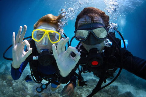 2 Night Whitsunday Islands Cruise On Atlantic Clipper From Airlie Beach - Accommodation Mermaid Beach 4