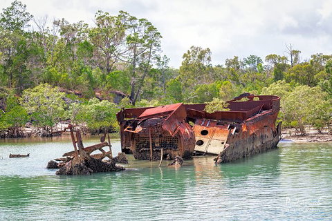 Sandy Straits Scenic & Wildlife Cruise - Accommodation Mermaid Beach 9