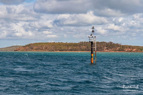 Sandy Straits Scenic & Wildlife Cruise - Accommodation Mermaid Beach 6