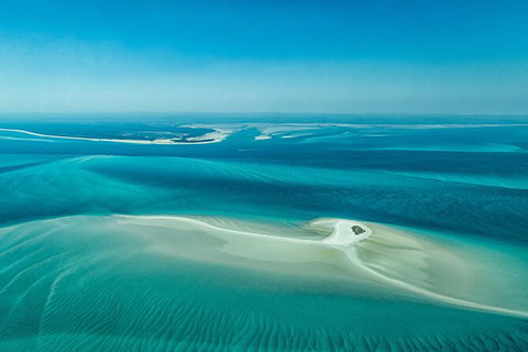 Sandy Straits Scenic & Wildlife Cruise - Accommodation Mermaid Beach 5