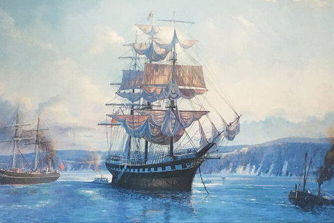 Sandy Straits Scenic & Wildlife Cruise - Accommodation Mermaid Beach 8