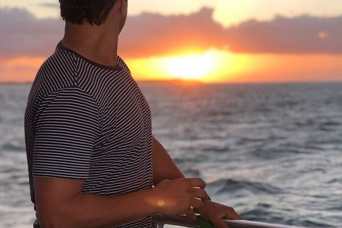 Sunset Twilight Cruise In Hervey Bay - Accommodation Mermaid Beach 3