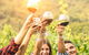 Barossa Valley Cellar Doors Luxury Wine Tour - thumb 3