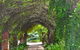 Barossa Valley Cellar Doors Luxury Wine Tour - thumb 4