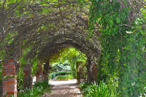 Barossa Valley Cellar Doors Luxury Wine Tour - Accommodation Mermaid Beach 4