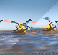 Kangaroo Island Self-Guided Kayaking on the Harriet River - Accommodation Mermaid Beach